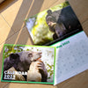 Stationary bundle