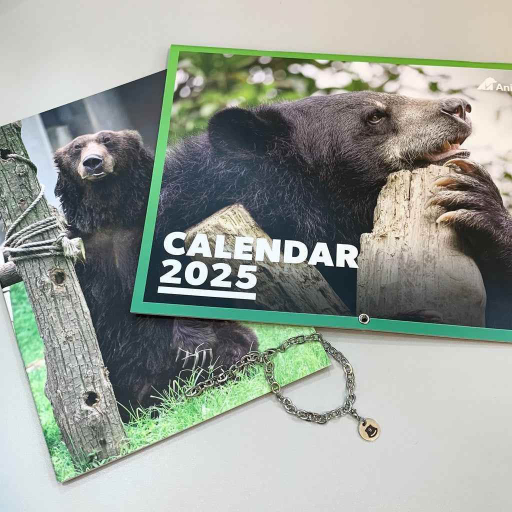 Stationary bundle