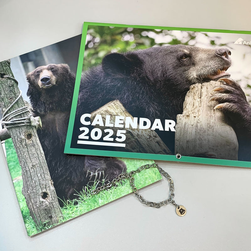 Stationary bundle